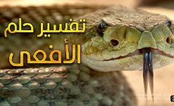 تفسير حلم الافعى في المنام