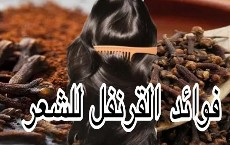 القرنفل لتنعيم الشعر