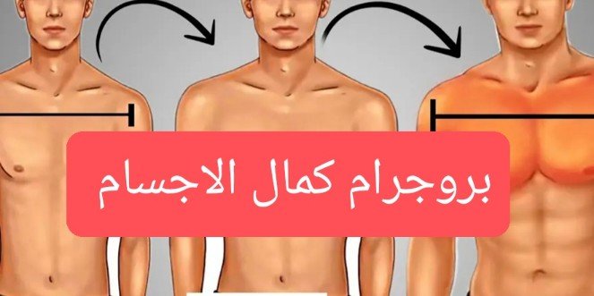 بروجرام كمال الاجسام