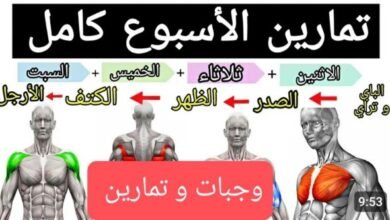 جدول تمارين كمال الاجسام
